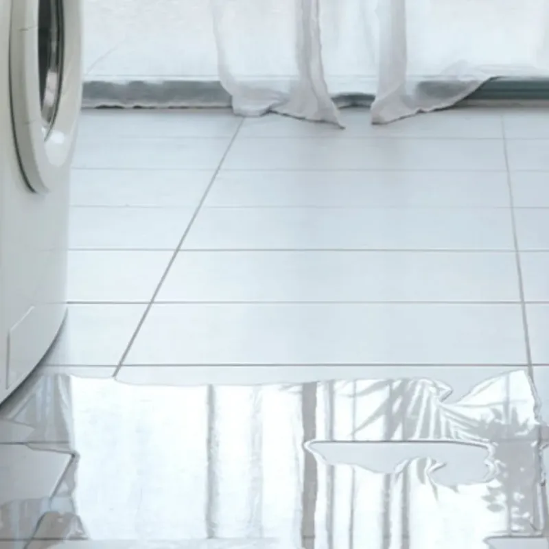 Appliance Leak Cleanup in Turner County, GA