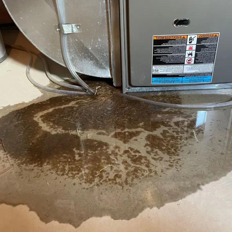 Pipe Burst and Leak Restoration in Turner County, GA
