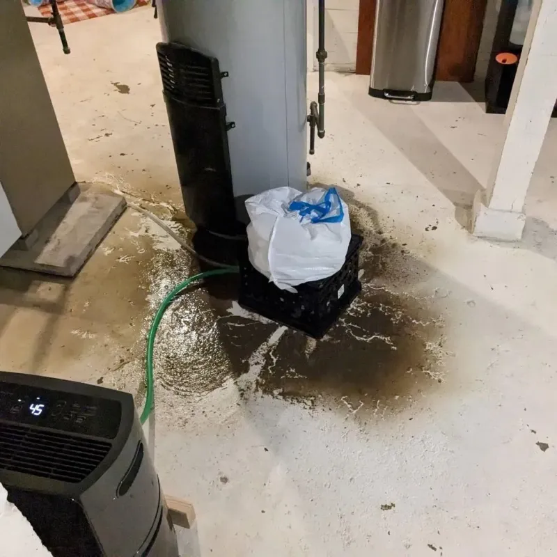 Sewage Backup Cleanup Service in Turner County, GA
